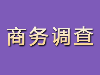 霍山商务调查